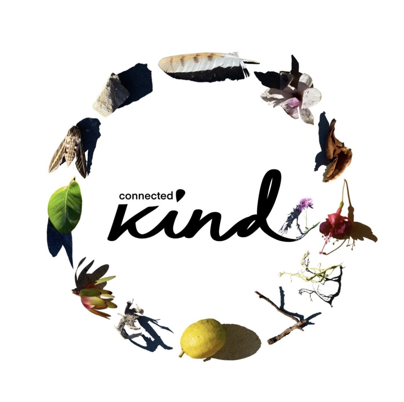 Connected Kind logo graphic by Laura Belevica